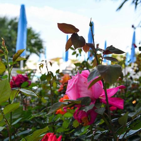 Hotel Majestic Lido di Jesolo Dış mekan fotoğraf
