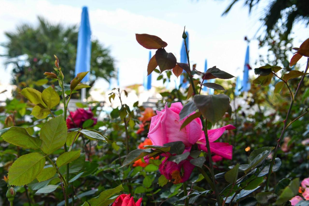 Hotel Majestic Lido di Jesolo Dış mekan fotoğraf